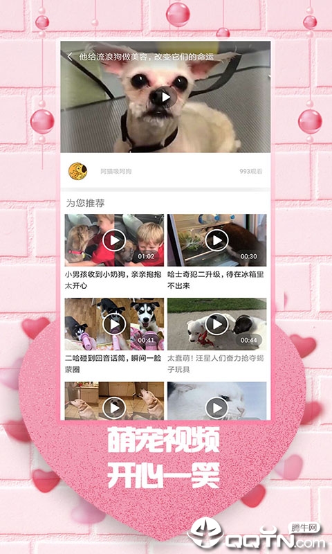 最爱韩剧app(图4)