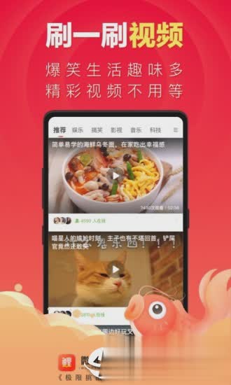 微鲤app(图4)