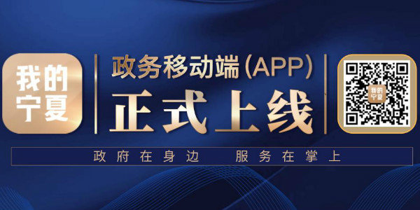 我的宁夏排名前十名