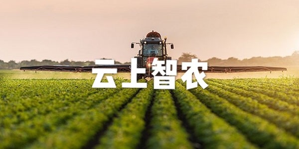 云上智农排名前十名
