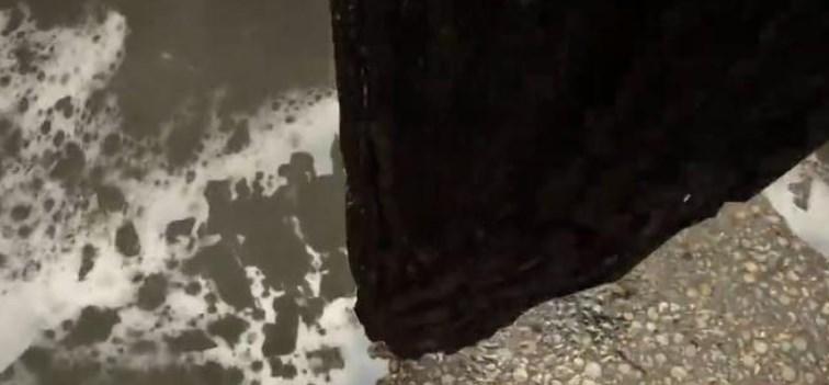 森林之子绳索枪如何运输木头-使用绳索枪运输木头方法