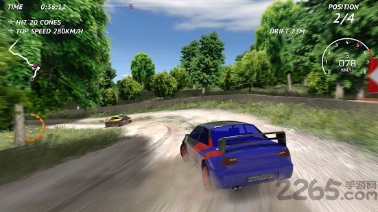 rally fury中文版(图3)