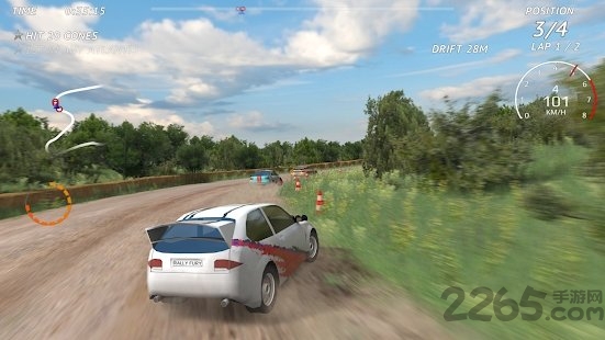 rally fury中文版(图1)