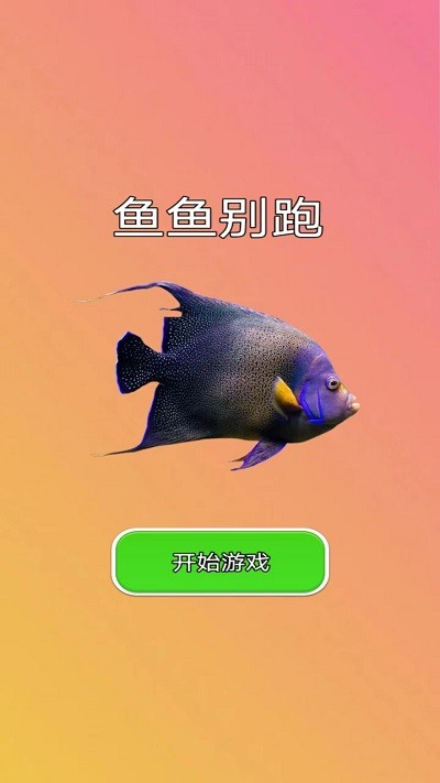 鱼鱼别跑游戏(图1)