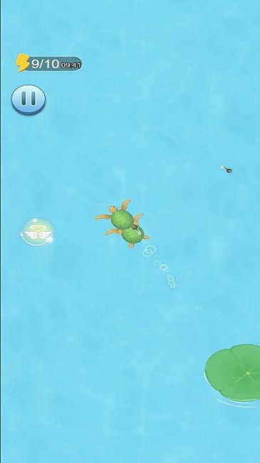 蝌蚪吞王八(图2)