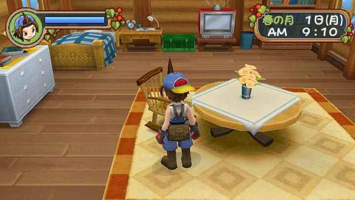 牧场物语：蜜糖村与村民们的愿望（PSP游戏）(图2)