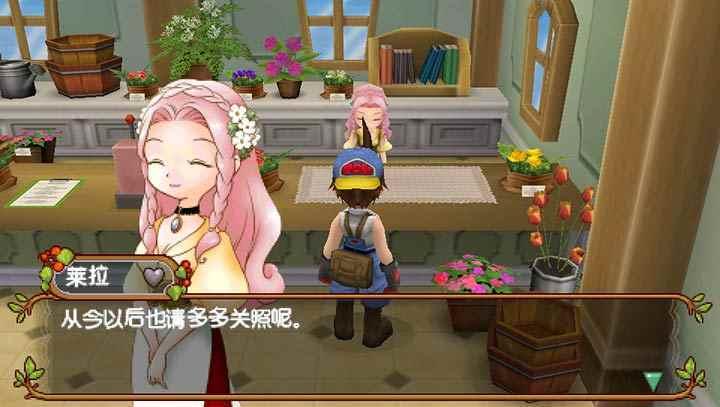 牧场物语：蜜糖村与村民们的愿望（PSP游戏）