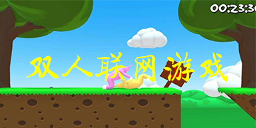 双人联网游戏