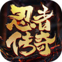忍者传奇2022版