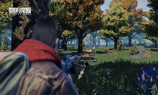 黎明觉醒明信片位置在哪-明信片位置坐标汇总