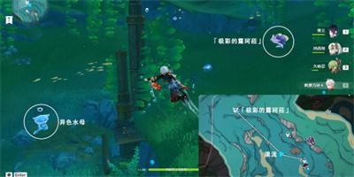 原神极彩的露珂菈怎么打-极彩的露珂菈通关打法攻略