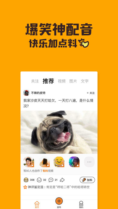 哈皮(图1)