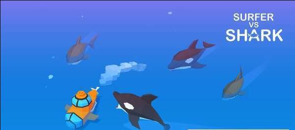 SurfervsShark(图2)