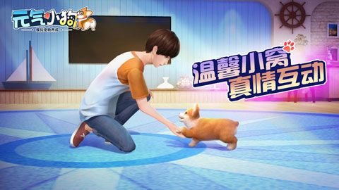 元气小狗(图3)