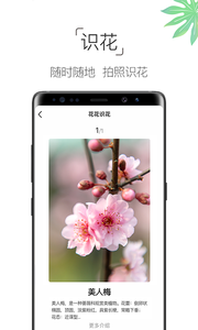 养花大全(图4)