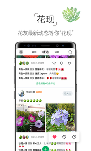 养花大全(图3)