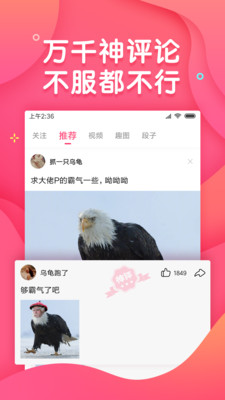 皮皮段子(图1)