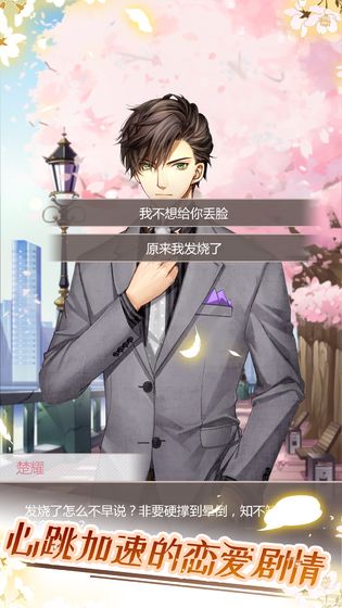 猫咪异闻(图3)