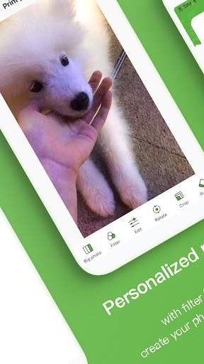 poooli打印机(图4)