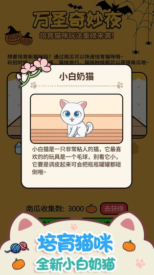 猫咪公寓2022版(图1)