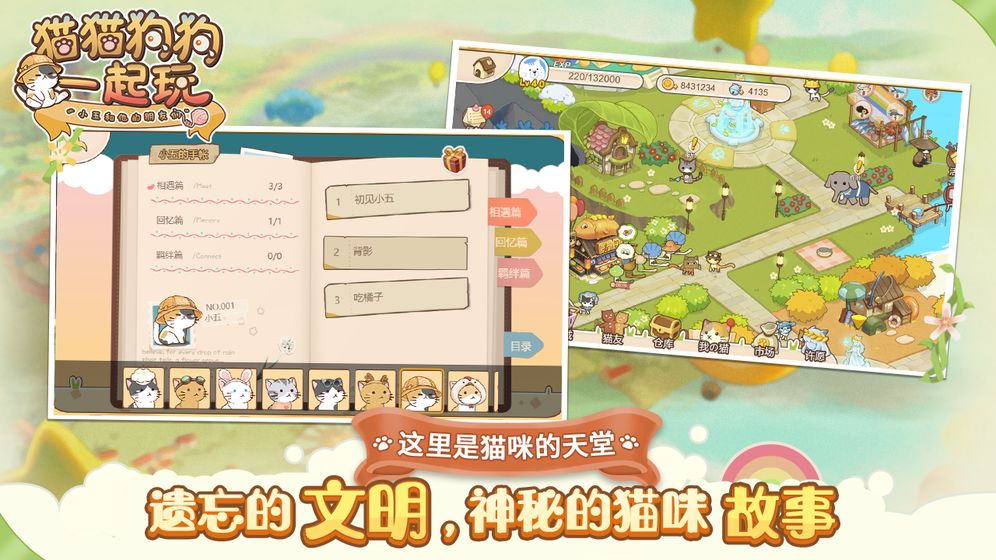 猫猫狗狗一起玩(图2)
