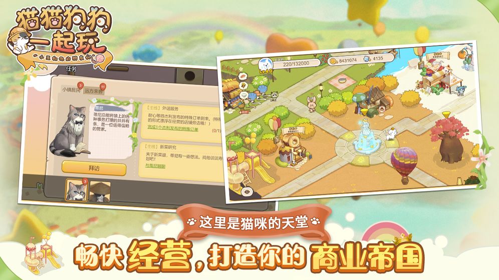猫猫狗狗一起玩(图3)