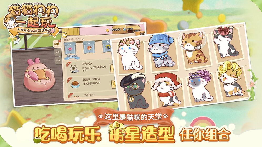 猫猫狗狗一起玩(图5)