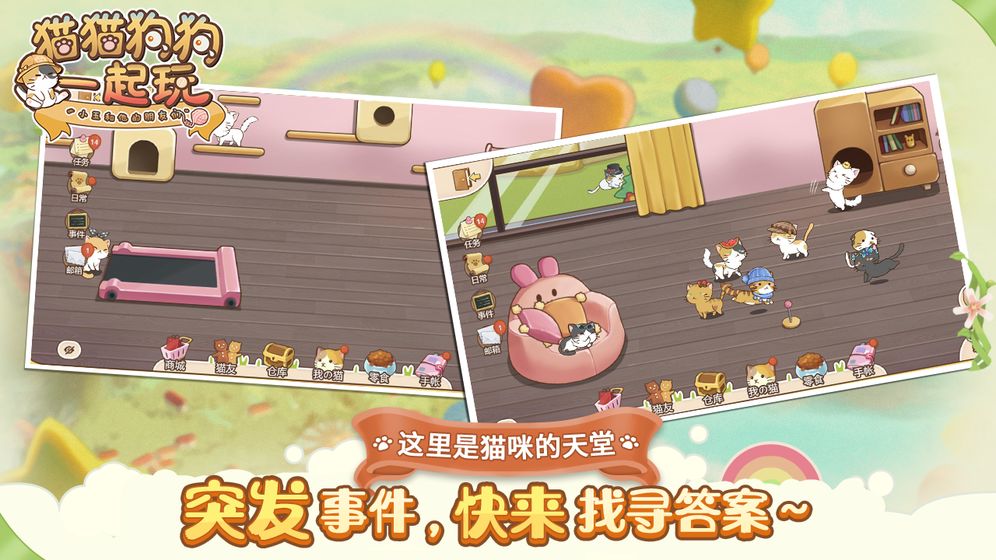 猫猫狗狗一起玩(图1)