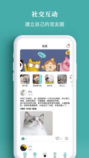 宠+(图1)