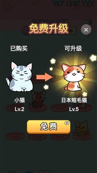 我的小猫花花(图1)