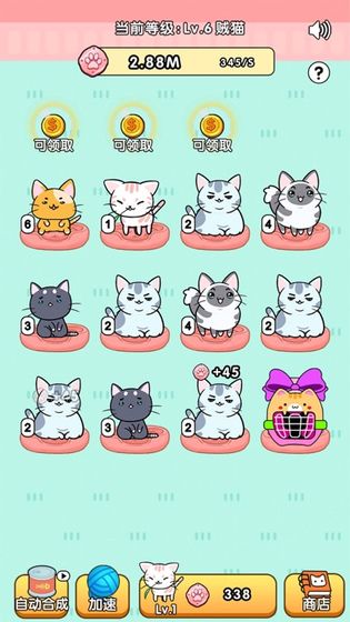 我的小猫花花(图3)