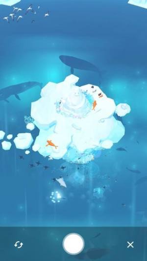 金多多水族馆最新版(图2)