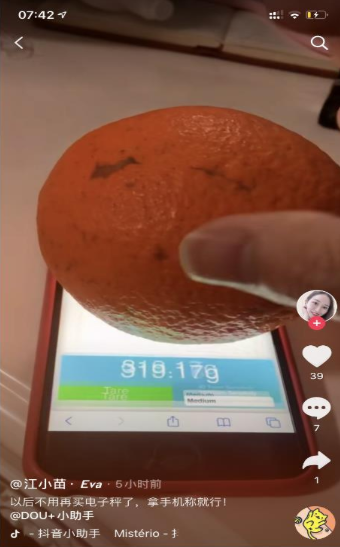 touchscale(图2)