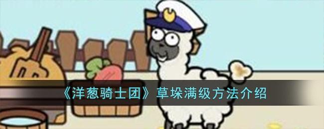 洋葱骑士团草垛怎么满级-草垛满级方法