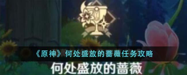 原神何处盛放的蔷薇任务怎么做-何处盛放的蔷薇任务攻略