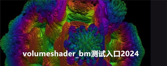 volumeshader-bm测试入口在哪-测试入口2024