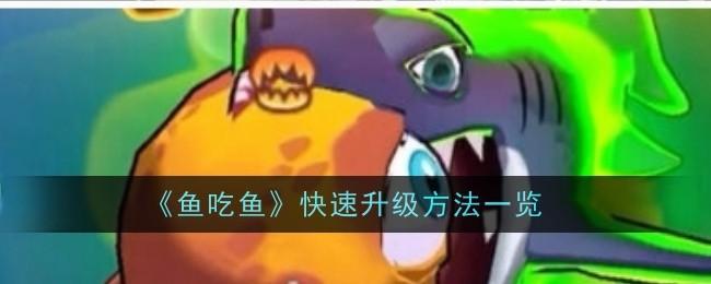 鱼吃鱼怎么快速升级-快速升级方法一览