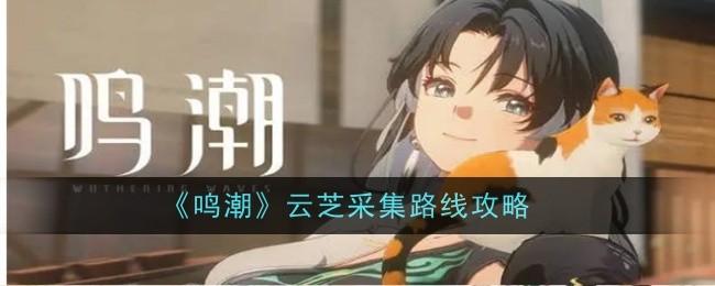 鸣潮手游云芝怎么快速采集-手游云芝路线攻略