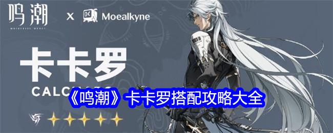 鸣潮卡卡罗怎么玩-卡卡罗全方位攻略大全