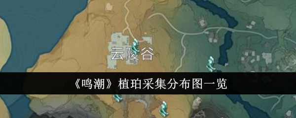 鸣潮植珀怎么采集-植珀采集分布图