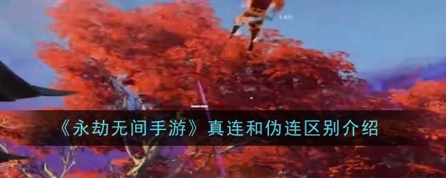 永劫无间手游真连和伪连有什么区别-真连和伪连区别介绍
