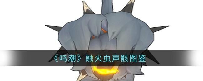 鸣潮融火虫声骸怎么样-融火虫声骸图鉴