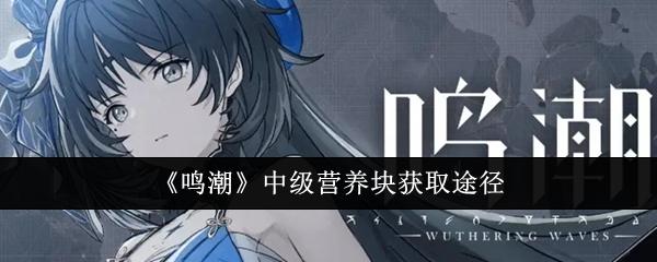 鸣潮中级营养块怎么获取-中级营养块获取途径