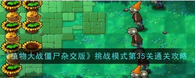 植物大战僵尸杂交版挑战模式第35关怎么通关-挑战模式第35关通关攻略