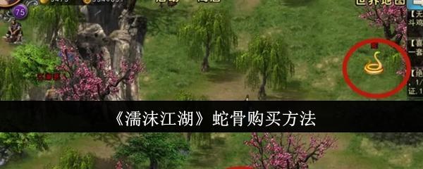 濡沫江湖蛇骨怎么购买-蛇骨购买方法