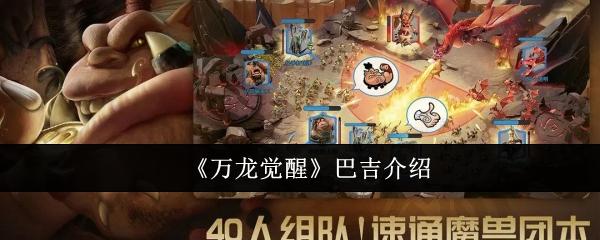 万龙觉醒巴吉怎么样-巴吉介绍