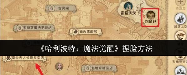 哈利波特魔法觉醒怎么捏脸-捏脸方法