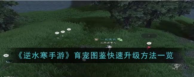 逆水寒手游育宠图鉴快速升级方法是什么-育宠图鉴快速升级方法一览