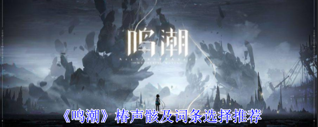 鸣潮椿声骸怎么选择-椿声骸词条选择攻略