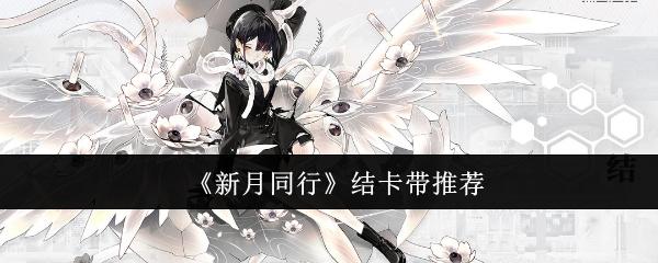 新月同行结卡带怎么选-结卡带推荐